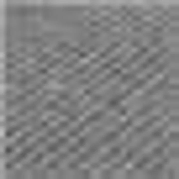Primaflor-Ideen in Textil Sisalteppich SISALLUX, rechteckig, Höhe: 6 mm, Obermaterial: 100% Sisal, ideal im Wohnzimmer & Schlafzimmer – Bild 3