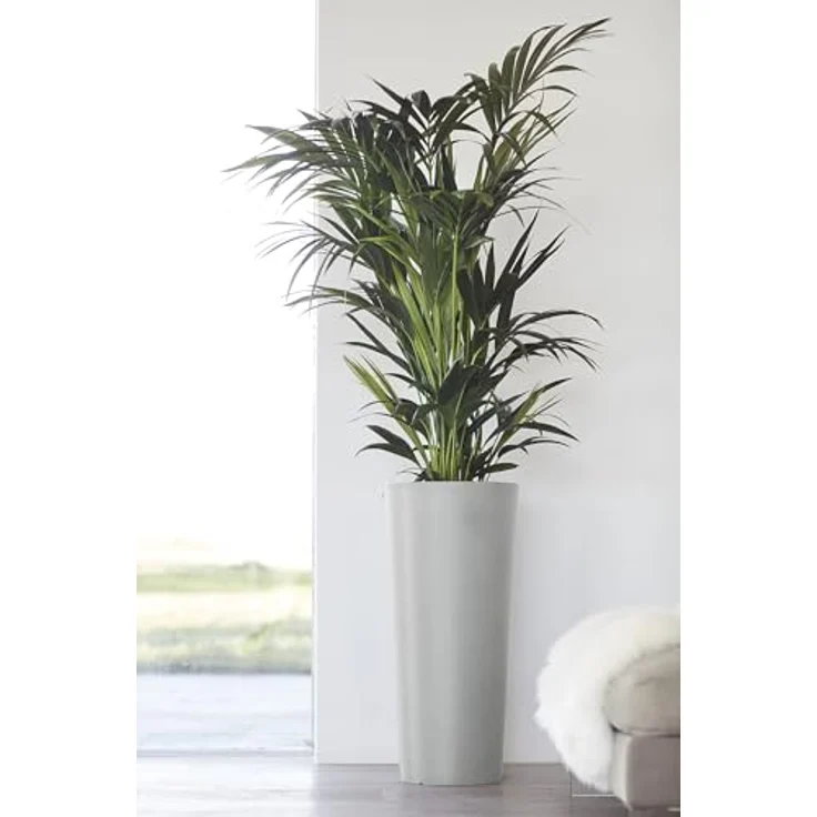 ECOPOTS Blumentopf AMSTERDAM HIGH White Grey, BxTxH: 41x41x76 cm – Bild 5