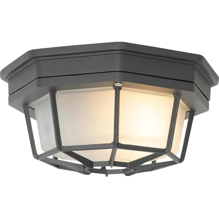 Qazqa Außen-Deckenleuchte Bri, ohne Leuchtmittel, E27, Dunkelgrau, Landhaus, Aluminium, 1-flammig – Bild 5