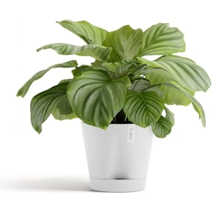 ECOPOTS Blumentopf Venice 2 30 Weiß, für den Innenbereich – Bild 4