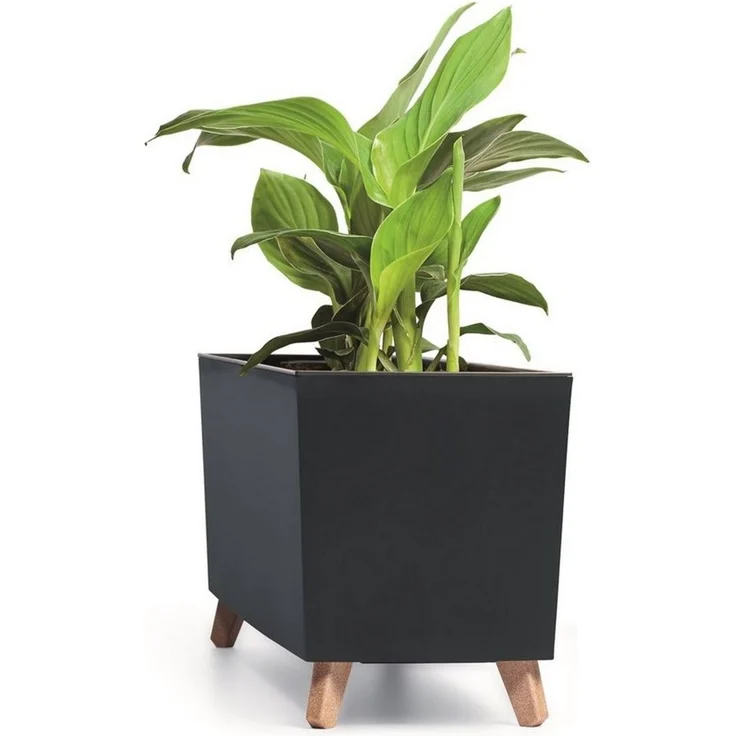 Prosperplast Blumenkasten, Blumentopf Balkonkasten Urbi Case – Bild 3