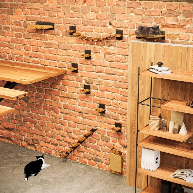 QLS Katzen-Kletterwand LOFT Wandmontage, Set Aus Metall pulverbeschichtet und Holz Geflammt 10 Teilig – Bild 2