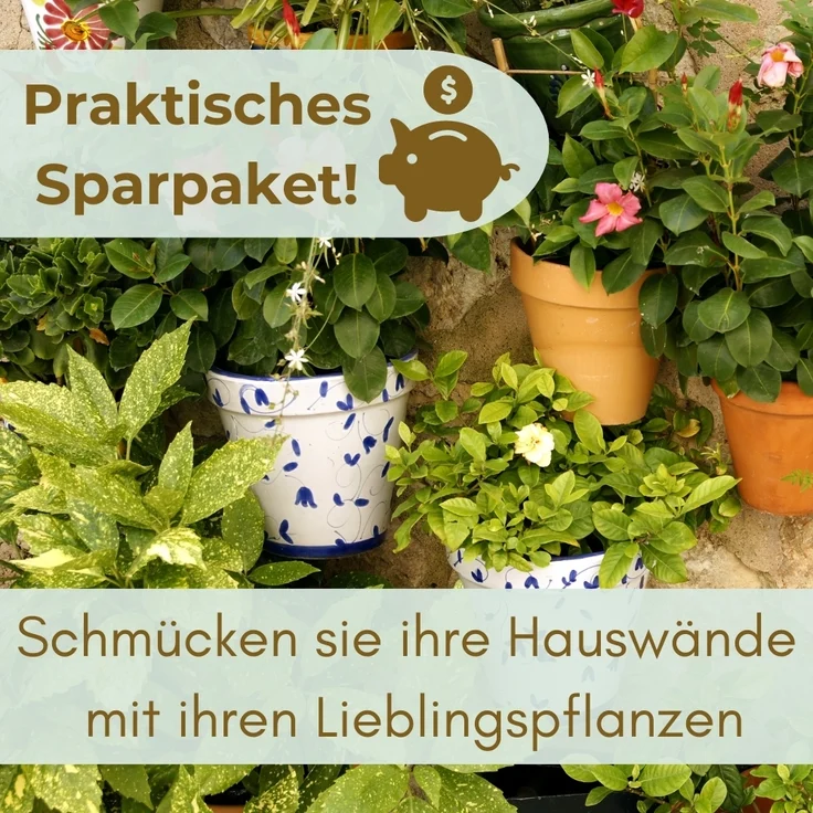 GarPet Blumentopf 2x Blumentopf Wand Blumen Topf Pflanzen Halterung 32 Anthrazit Rattan – Bild 6