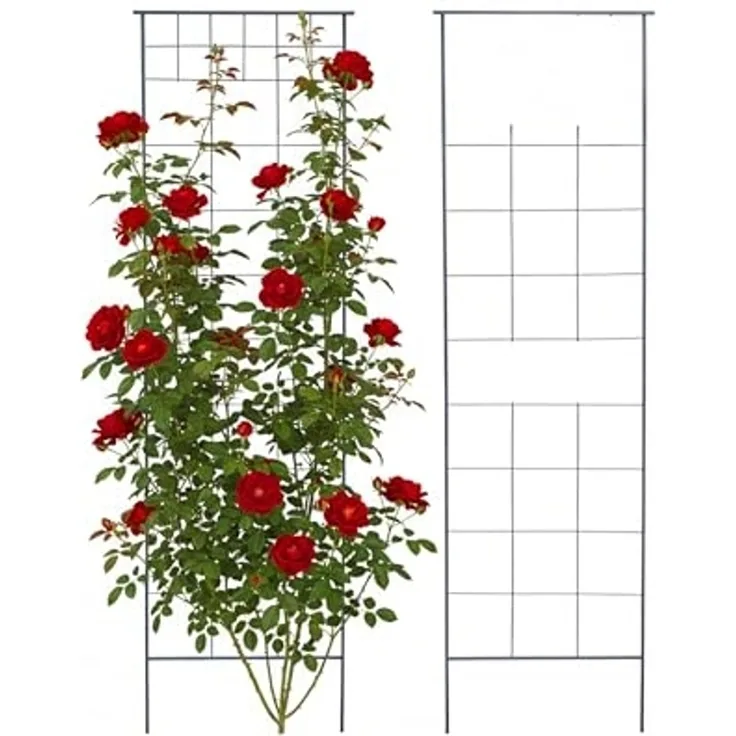 Rankgitter 2er Set 10053239
