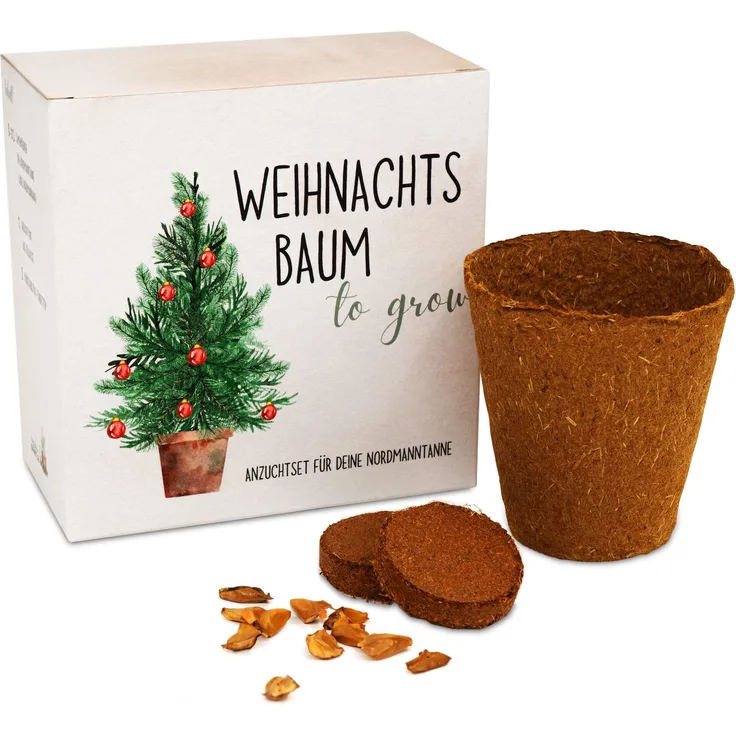 Tannenbaum Geschenk Set - Tannenbaum in der Dose Anzuchtset mit Kokostablette und Zellulose Topf - 8-10 Samen für 5 Tannenbäume Weihnachtsbaum Anzuchtset als Adventskalender Füllung