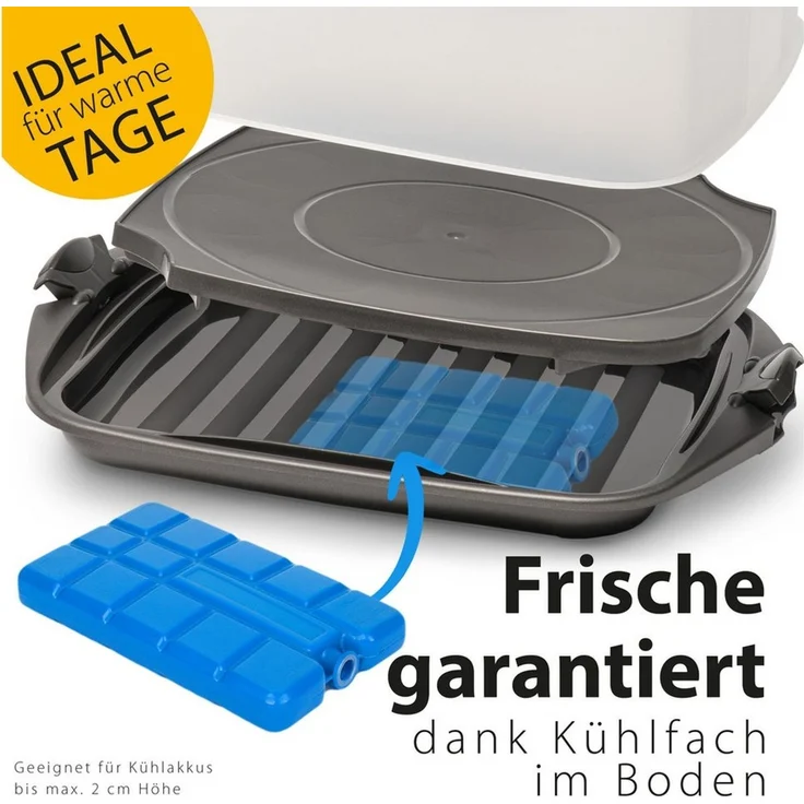 Hausfelder Kuchentransportbox Kuchentransportboxen 2er Set,rechteckig für Kastenkuchen/quadratisch, (Set, 2-tlg, 2 verschiedene Boxen), mit Klick-Verschlüssen, spülmaschinenfest, BPA-frei – Bild 3