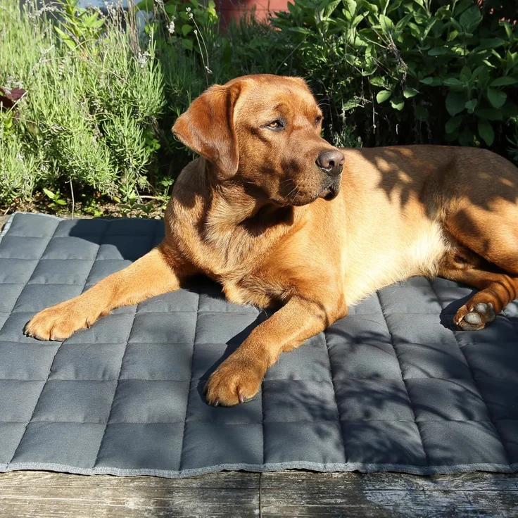 yourGEAR Hundematte your GEAR Lana Hundematte 160x100 cm Hundedecke, Baumwolle, waschbar – Bild 6