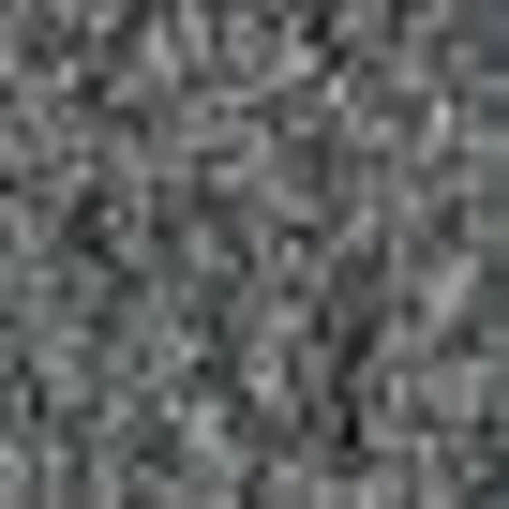 ASTRA Fußmatte Proper Tex 618, rechteckig, Höhe: 9 mm, Schmutzfangmatte, auch als Läufer, waschbar, In -und Outdoor geeignet – Bild 2