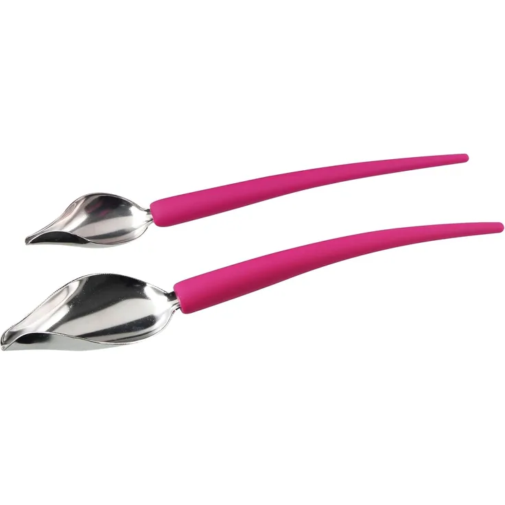 Fackelmann FMprofessional Déco-Spoon, 2-tlg, Dekorierlöffel, Dekor Löffel, 21590