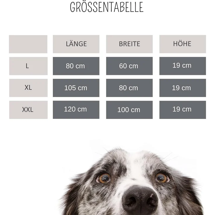 Hundebett "BOXBED" XL 105x80x19 cm Anthrazit"" – Bild 7