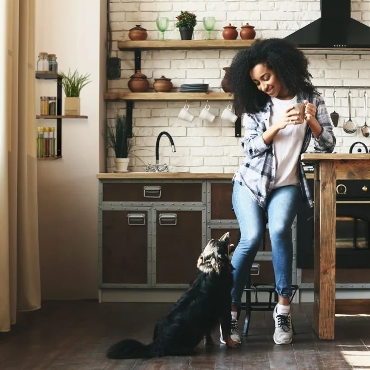 Eckregal Wand – Bild 3