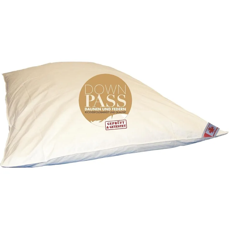 Ballonbett Bettdecke 100% Federbett Canada warme Winterdecke 155x220 cm