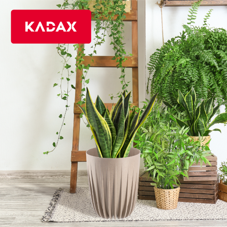 KADAX Blumentopf Eco Cover + brauner Einsatz 30x36 cm – Bild 8