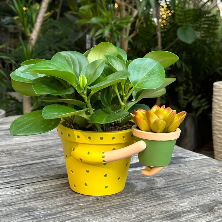 Scuyari Niedlicher Pflanztopf Mutter Baby Design 13,2cm Topf Indoor Outdoor – Bild 7