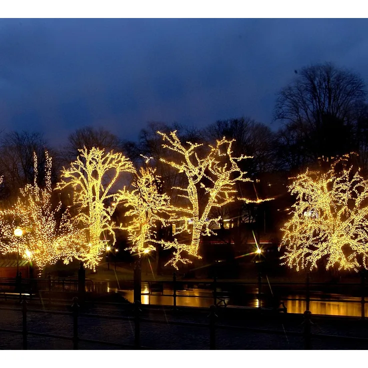 System LED "LED Eisregen-Lichterkette 2x1m" 100 LED´s, warmweiß, IP44