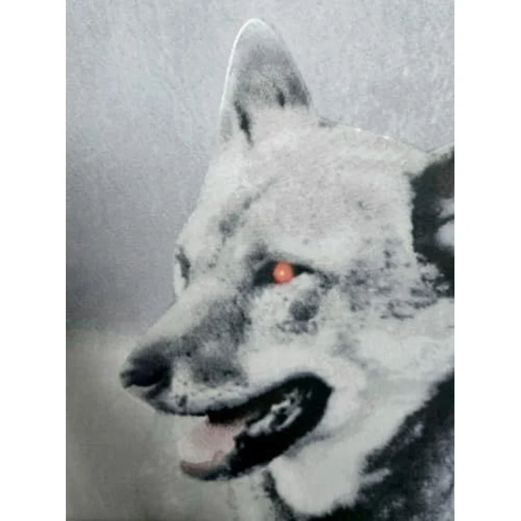 JACK Bettwäsche Microfaser Bettwäsche 135x200cm Wolf Guard Tier Fantasy Totenkopf Grau, Microfaser, 2 teilig, fotorealistischer Print Druck, Mystisch und geheimnisvoll Wolfsrudel – Bild 4