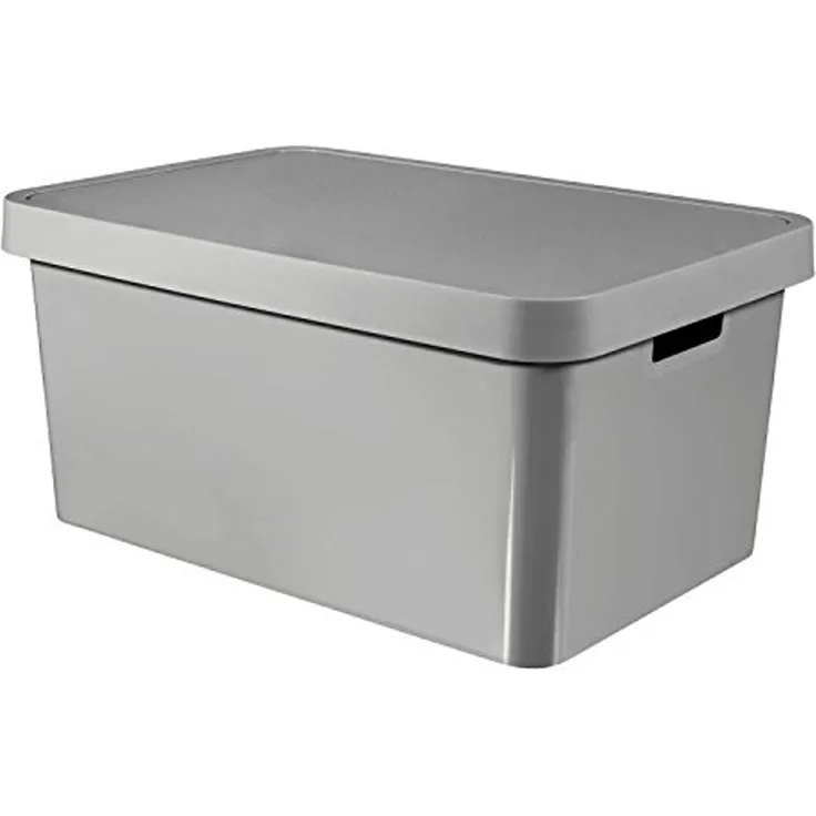 Curver Aufbewahrungsbox, Behälter mit Deckel Infinity 45 L