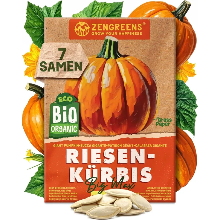 ZenGreens® - Bio Kürbissamen im 12er Set - 12 Kürbis Samen für den einfachen Anbau im Garten, Balkon oder Hochbeet - Pflanzensamen - Saatgut – Bild 11