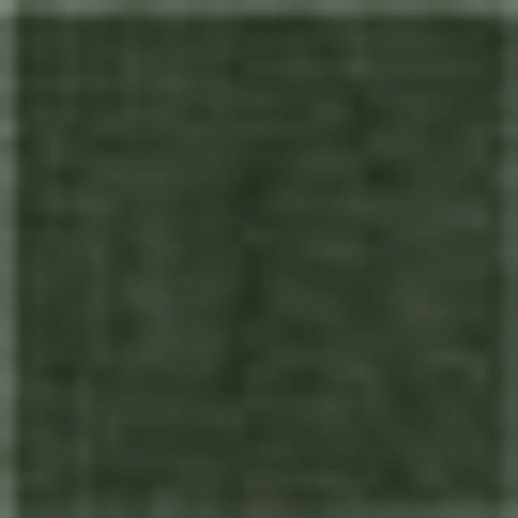 Möve Superwuschel Gästetuch 30x50 cm aus 100% Baumwolle, Cypress 3er Set – Bild 3