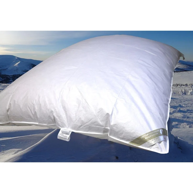 Winterbett Oberbett Daunen-Federbett Bettdecke Schüttelbett 155x200 cm 2300g – Bild 1