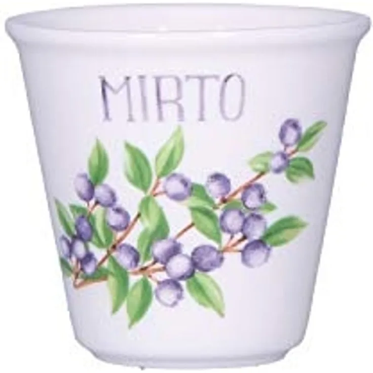 La Porcellana Bianca La Porcellana Bianca Set mit 6 Gläsern für Mirto-Likör 75 ml P012715MIRZ