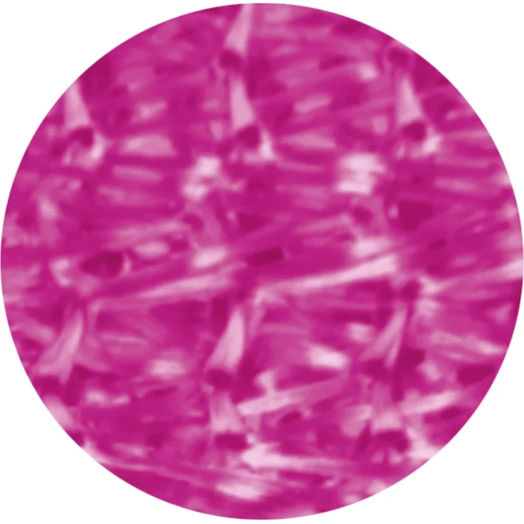 Fadenvorhang 90x240 Fadengardine Insektenschutz Raumteiler Auswahl: pink - fuchsia – Bild 2