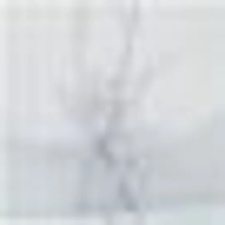 Stickereien Plauen Scheibengardine Kiara (1 St), Stangendurchzug, halbtransparent, Voile – Bild 3