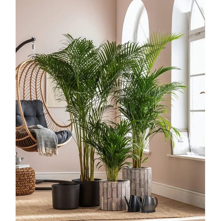 Dehner Übertopf Nele, Ø 29 - 32 cm, Höhe 24 - 27 cm, Keramik – Bild 3