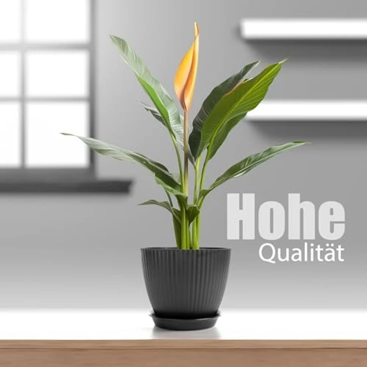 BigDean 8er Blumentopf Set Pflanzentopf mit Untersetzer Anthrazit – Bild 2