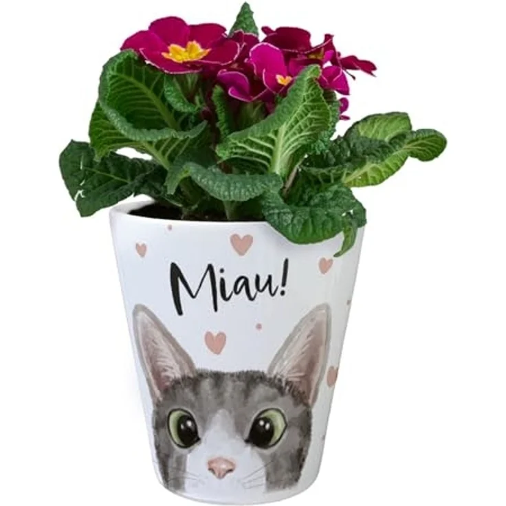 speecheese Blumentopf Miau Katze Blumentopf – Bild 2