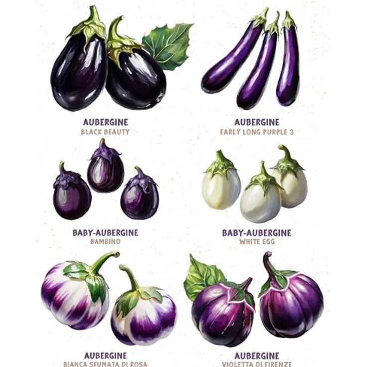 ZenGreens® - Bio Auberginensamen im 6er Set - 6 Aubergine Samen für den einfachen Anbau im Garten, Balkon oder Hochbeet - Pflanzensamen - Saatgut – Bild 6