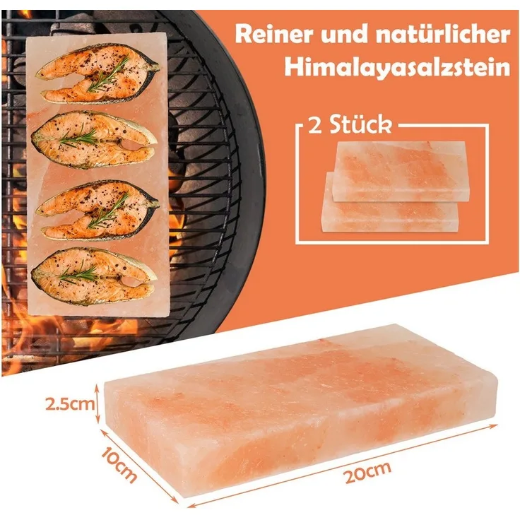 Clanmacy Grill-Salzstein 10X Mahlzeit Yakiniku Grillstein Hochwertiger Grillfliese 20x10x2,5cm (10-St)