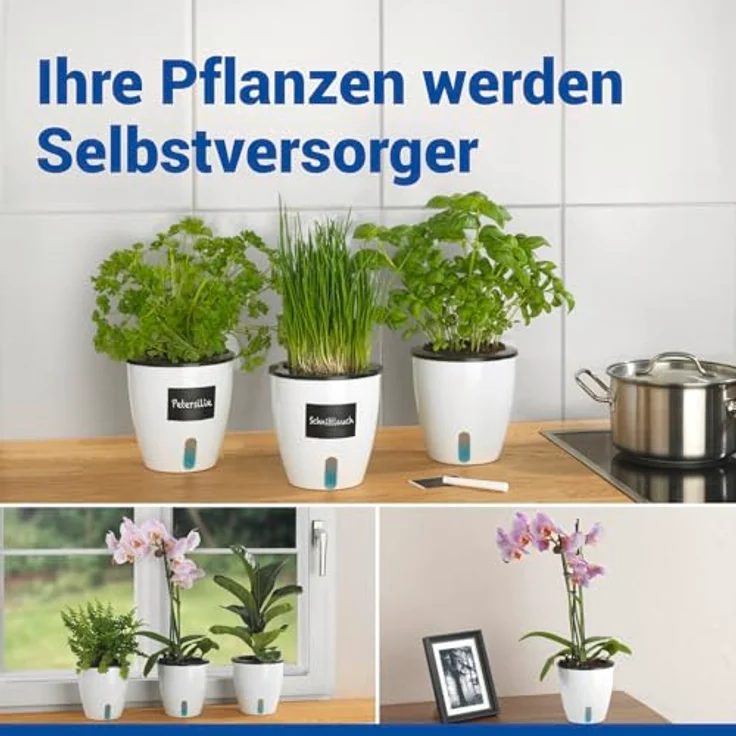 Maximex Selbstbewässernde Pflanztöpfe, 15-teiliges Set, Kräutertöpfe mit Wasserreservoir, automatische Bewässerung für Zimmerpflanzen, Ø 13x13,5 cm, Kunststoff – Bild 3