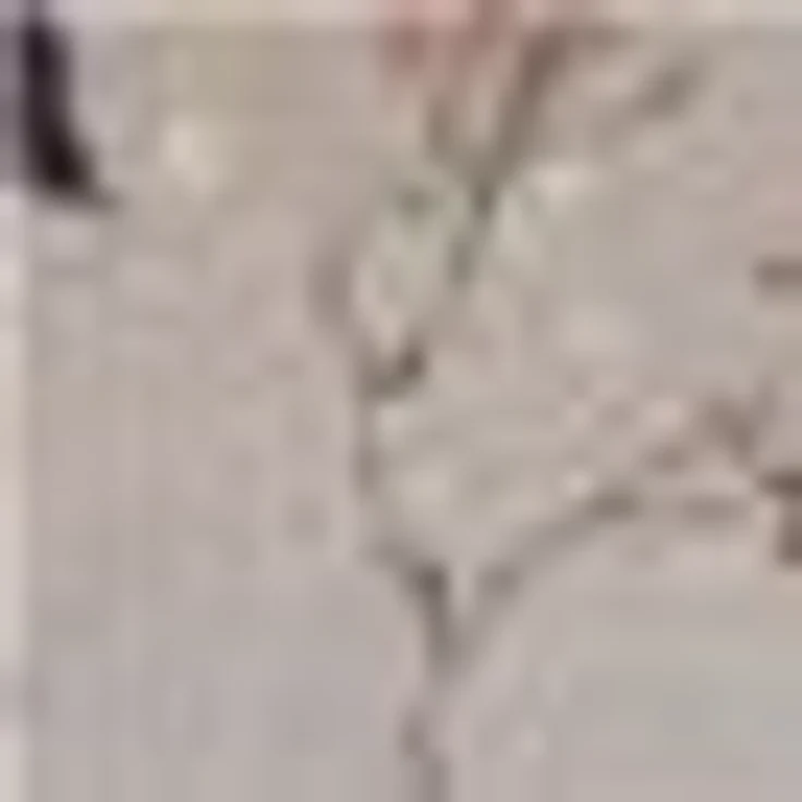 Kleine Wolke Duschvorhang Flores Breite 180 cm, mit beschwertem Saum und Vorhangringen – Bild 3