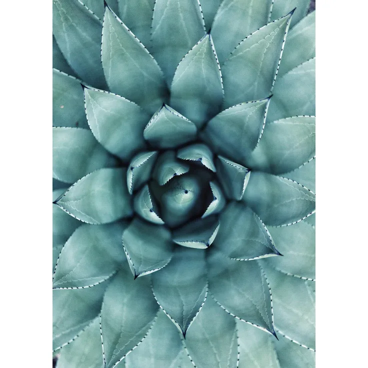 Blume Leinwandbild Grün Floral 50x70 DD123119 Keilrahmenbild Wandbild Leinwand