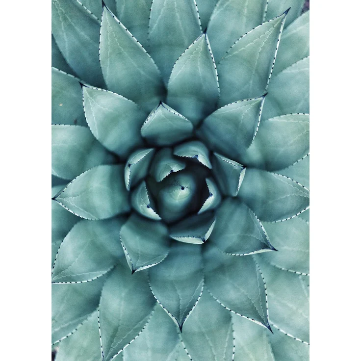 Blume Leinwandbild Grün Floral 50x70 DD123119 Keilrahmenbild Wandbild Leinwand – Bild 1