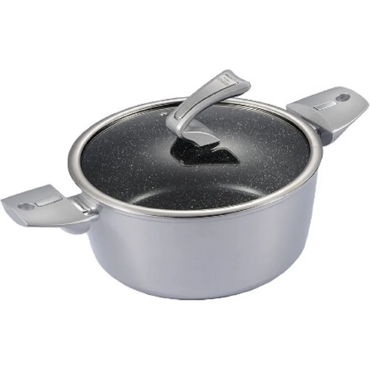Schäfer Bratentopf mit Deckel – Perfekt für saftige Braten und Schmorgerichte Ø 24cm