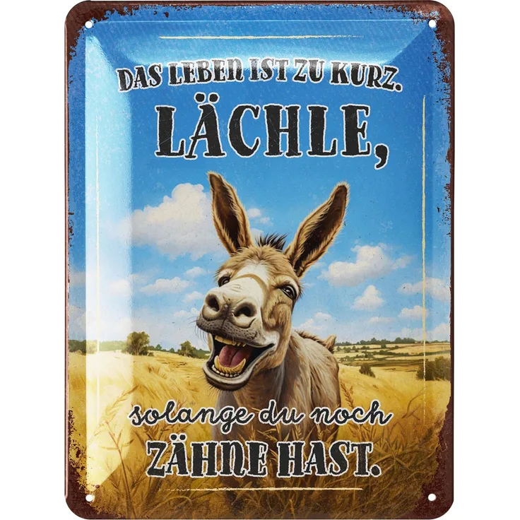 LANOLU Blechschild Leben ist zu kurz Lächle - 15x20cm – Metall – Mehrfarbig – 15231