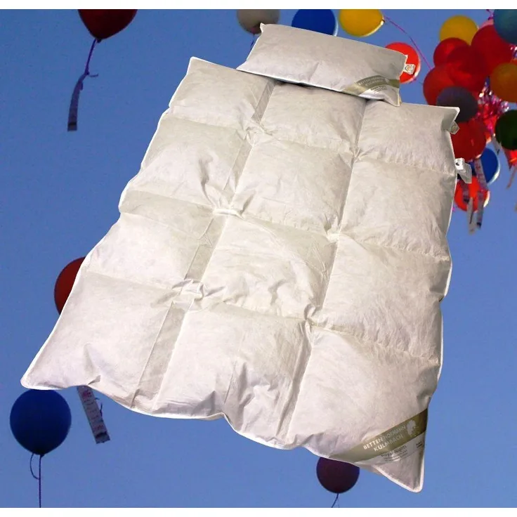 Ganzjahres Set Kinder Baby Daunenbett 100x135 cm Daunendecke + Kissen 40x60 100% Daunen