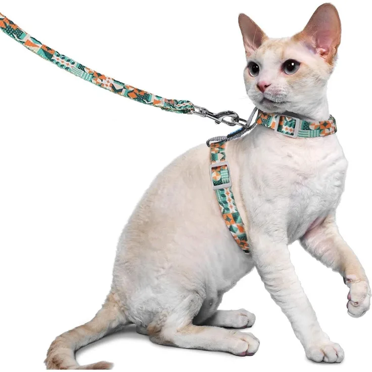 Supet Katzen Geschirr Leine Ausbruchsicher Katzenweste Gehen Kätzchengeschirr M