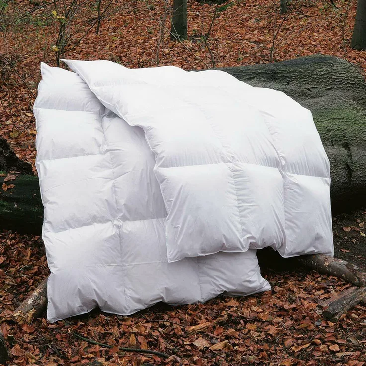 BettwarenShop Daunendecke Polar extra warm, Füllung: 70% Federn, 30% Daunen|135x200 cm