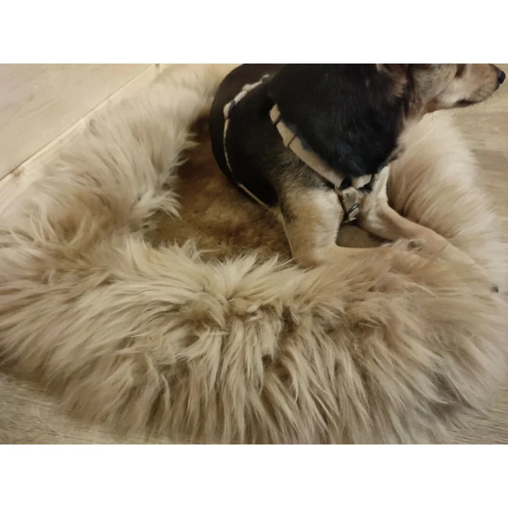 Provellus Tierbett aus Schaffell, Weiß, L (75x50 cm) – Bild 7