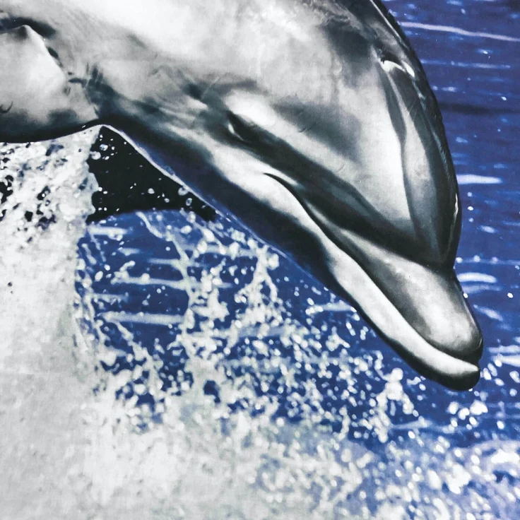 ESPiCO Sleep and Dream Bettwäsche Delphin 3D Digitaldruck blau Baumwolle 135 x 200 + 80 x 80 cm – Bild 6