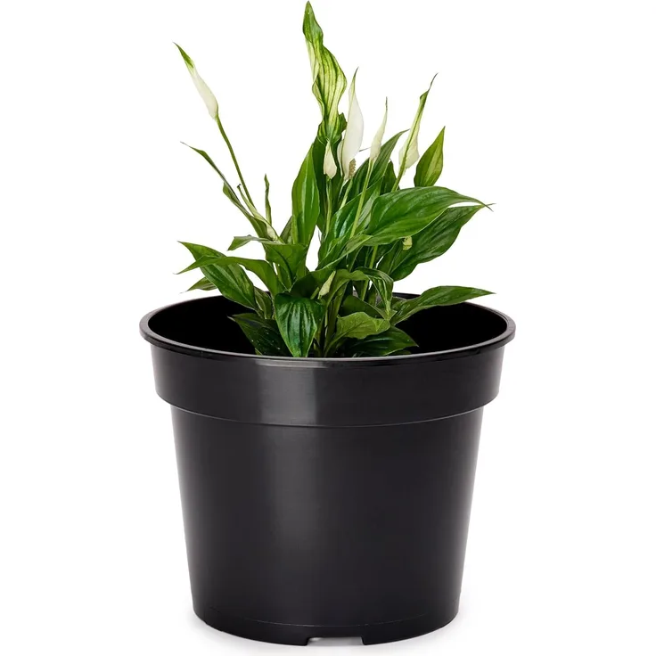 Garronda Blumentopf Kunststoff rund Pflanztopf Kräutertopf Anzuchttopf für Garten GD-0025 (1 St)