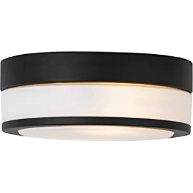 Qazqa Flavi, Moderne 2-flammige Bad- und Außen-Deckenleuchte, schwarz, IP44, E27, dimmbar, Stahl rund – Bild 5