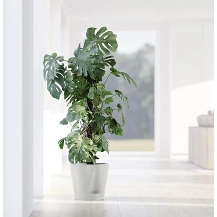 ECOPOTS Blumentopf Venice 2 30 Weiß, für den Innenbereich – Bild 6