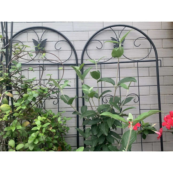 Homerecommend Metall Garten Gitter 2er Set 180x50 cm, Pflanzengitter für Kletterpflanzen, verzinkter Stahl, Schwarz – Bild 3