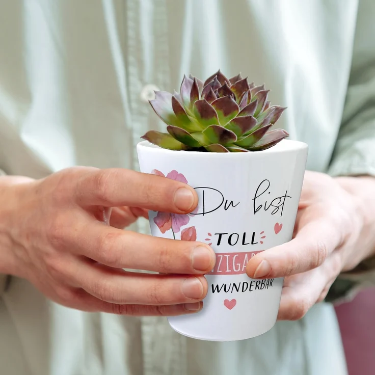 speecheese Blumentopf Blume Blumentopf mit Spruch Du bist toll einzigartig und wunderbar – Bild 5
