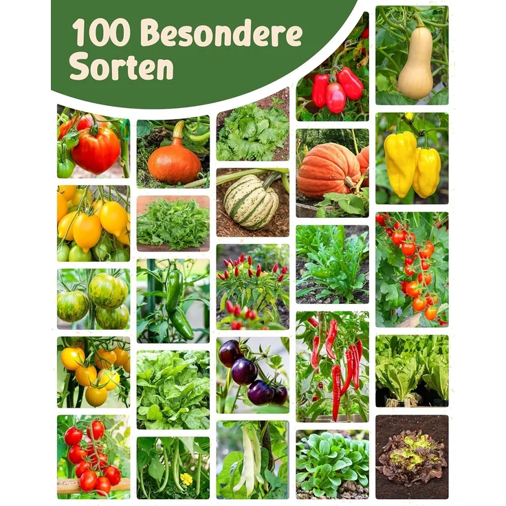 ZenGreens® - Bio Kräuter- & Gemüsesamen im 100er Set - 100 Kräuter- & Gemüse Samen für den einfachen Anbau im Garten, Balkon oder Hochbeet - Pflanzensamen - Saatgut – Bild 9