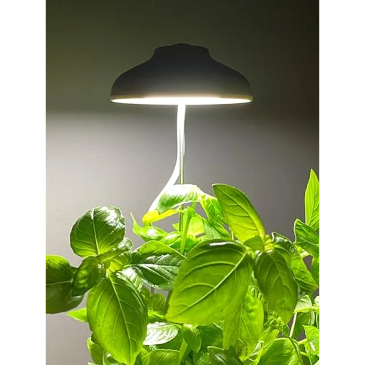Northpoint Pflanzenlampe LED 7W 2er-Set Pflanzenlampe Pflanzenbeleuchtung 70cm – Bild 8